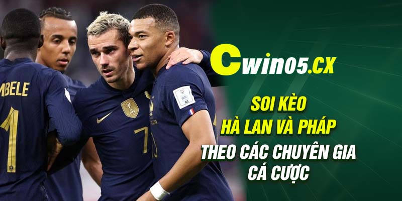 Soi kèo Hà Lan và Pháp theo các chuyên gia cá cược